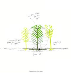 Cartographies of Living Systems FS21: Drawing Trees