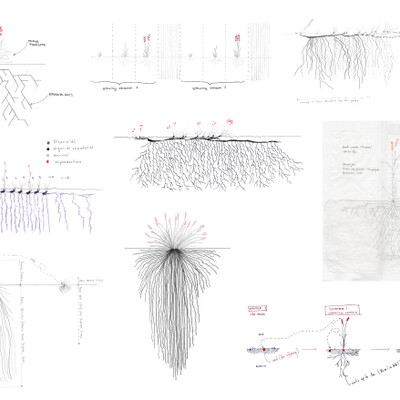 Cartographies of Living Systems FS21: Perennials
