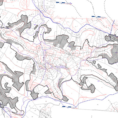 Evolution of the forest in Senan