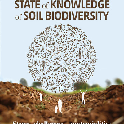 FAO State of Knowledge of Soil Biodiversity, 2020