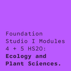 Foundation Studio I Modules 4 & 5 HS20: Ecology and Plant Sciences