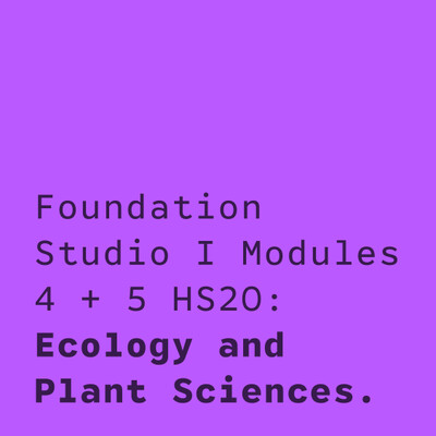 Foundation Studio I Modules 4 & 5 HS20: Ecology and Plant Sciences