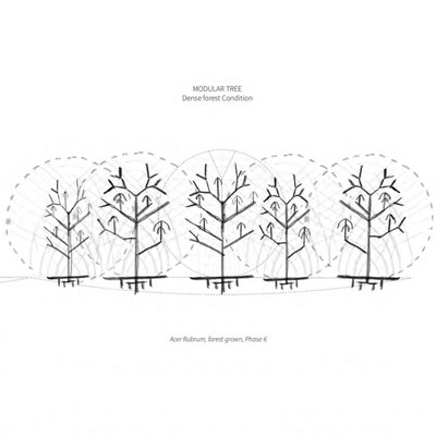 FS23 Cartographies of Living Systems: Drawing Trees