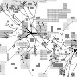 FS23 Cartographies of Living Systems: Roots
