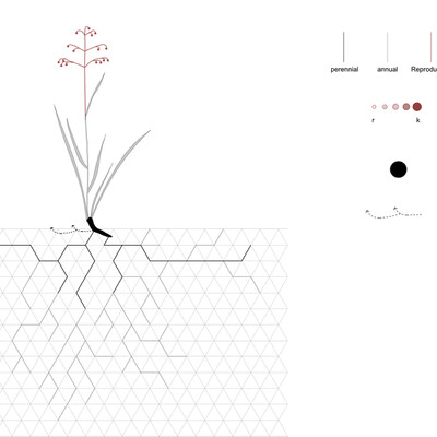 Perennials Language v1: Manual translation