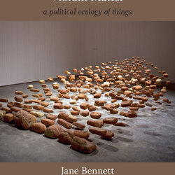 Vibrant Matter: A Political Ecology of Things. Jane Bennett, 2010.