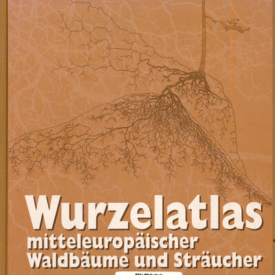 Wurzelatlas. Lore Kutschera, Erwin Lichtenegger, 2002.